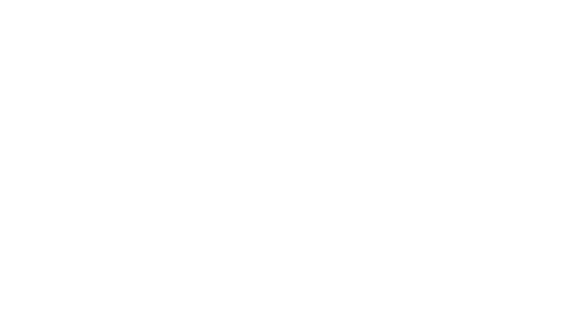 VK Icon